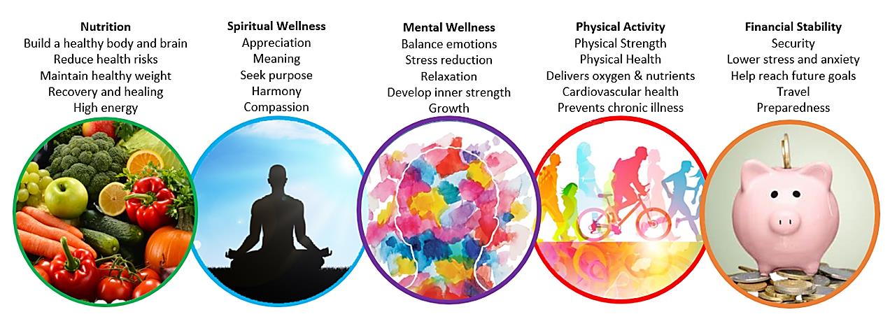 wellness initiative banner