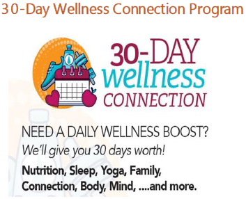 30 day wellness connection image