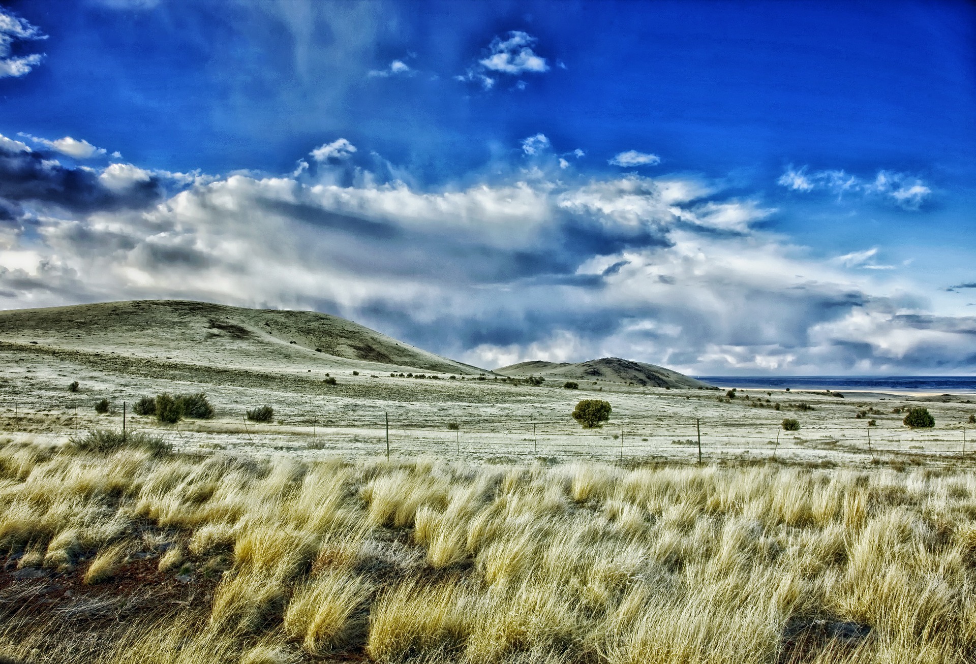 NM desert