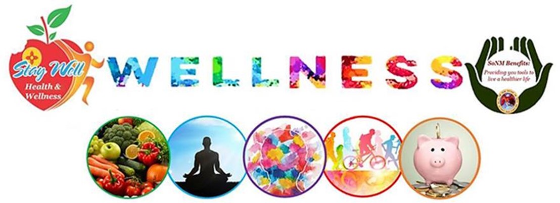 NM Wellness logo